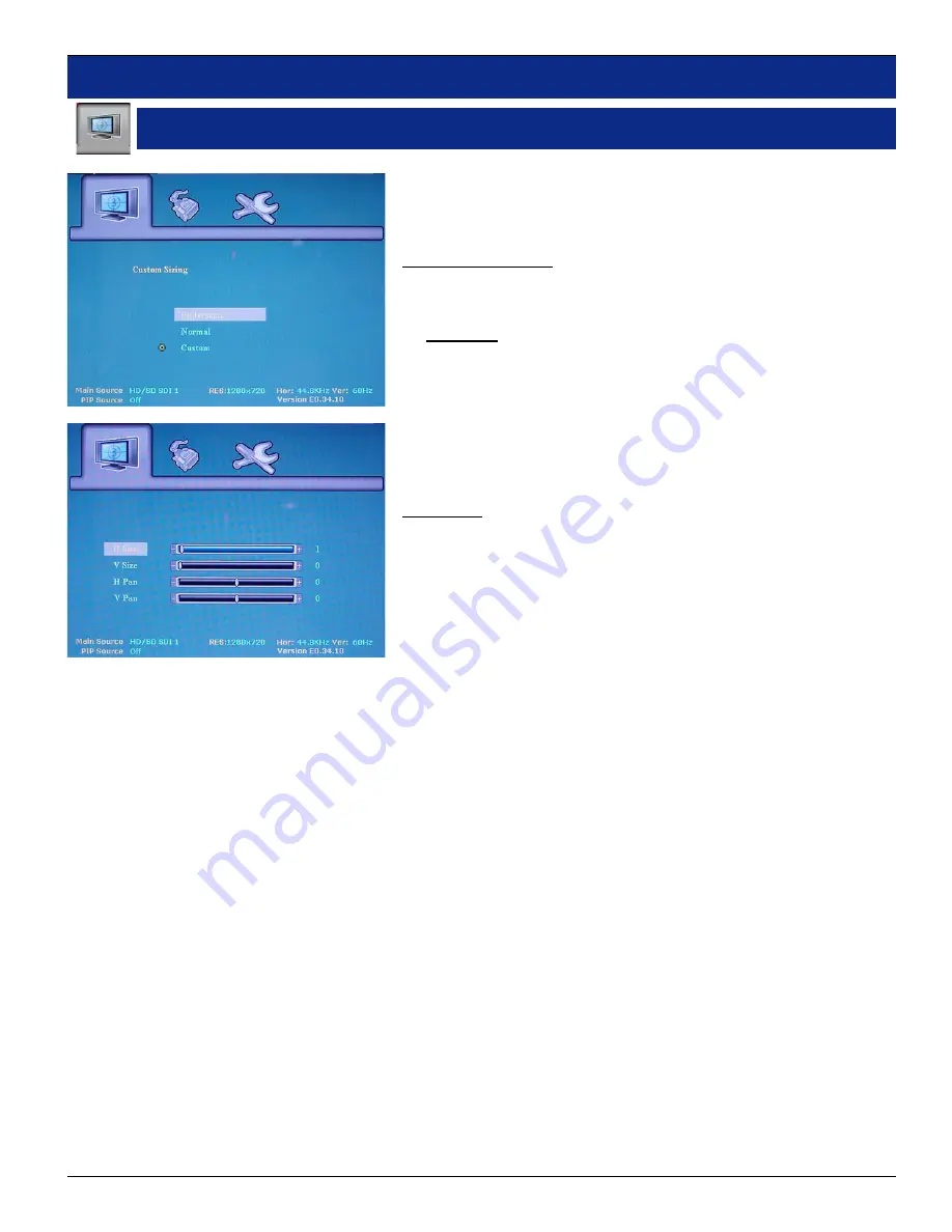 Panorama HDMon Series User Manual Download Page 17