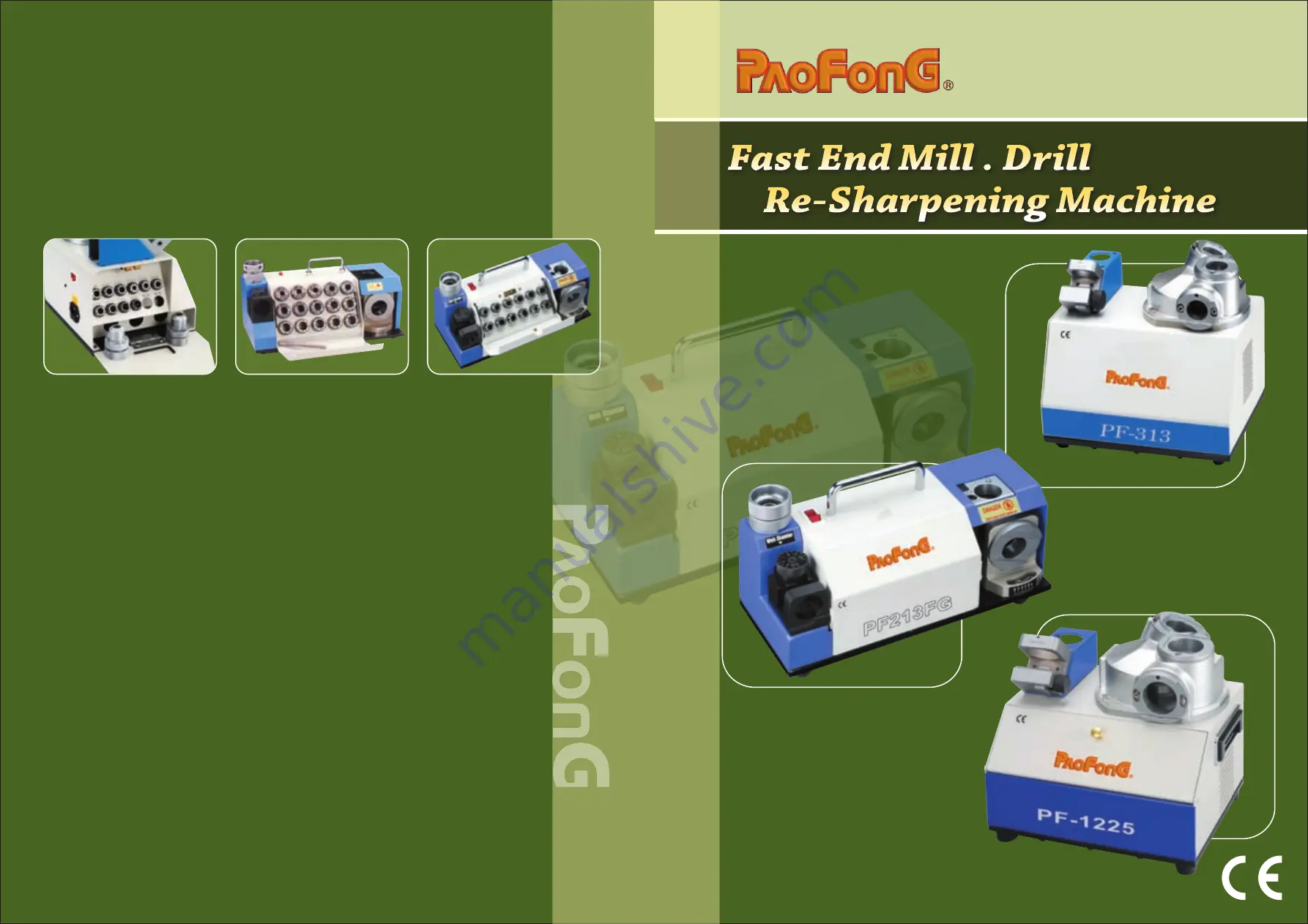 PaoFonG PF-313 Manual Download Page 1