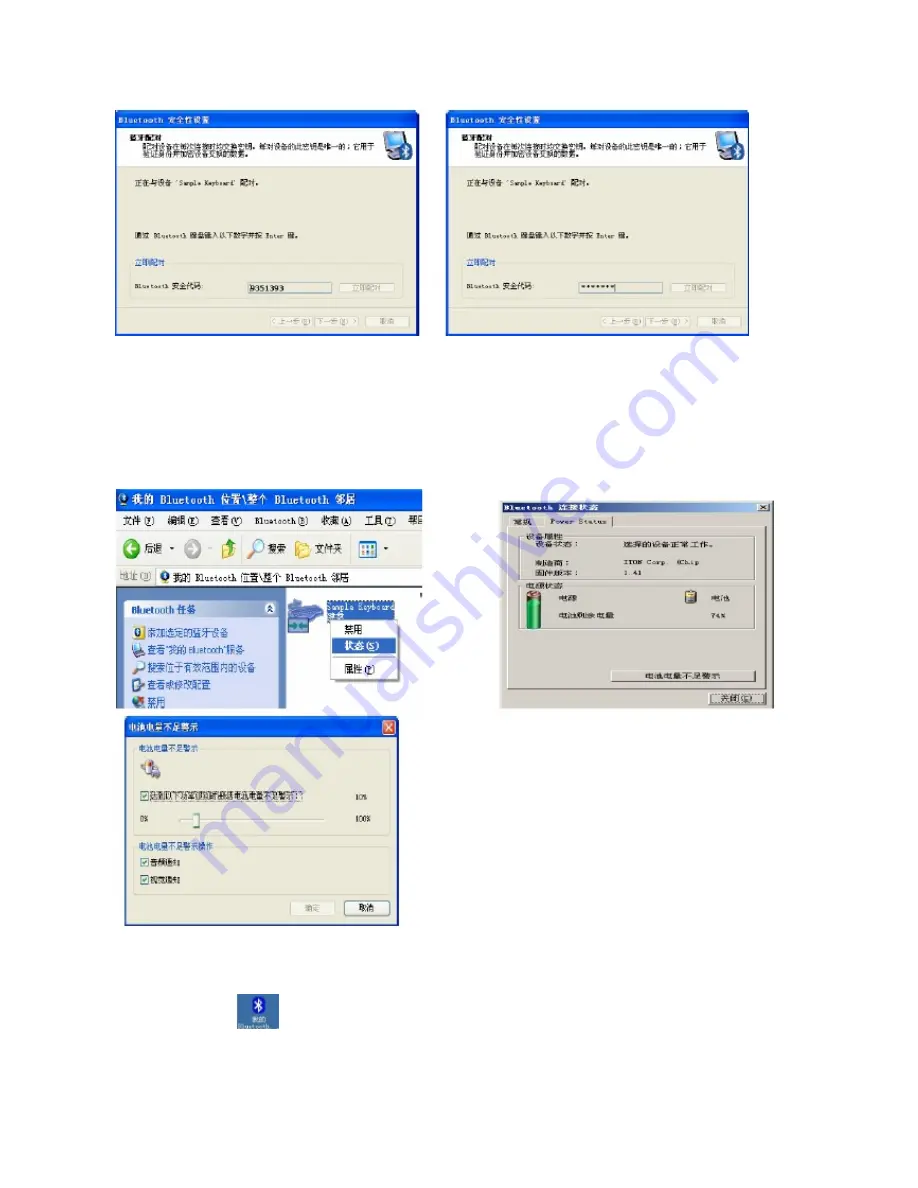 Paoluy Silicone Technology BL-84M Manual Download Page 5