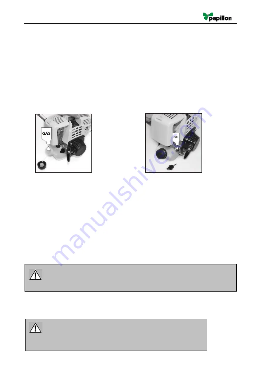 PAPILLON DG 4T-31 Instruction Manual Download Page 9