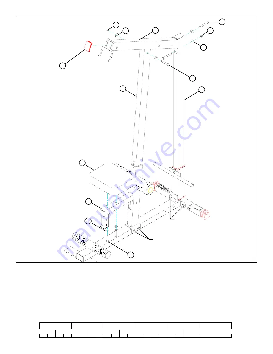 ParaBody 827 LAT MACHINE User Manual Download Page 10