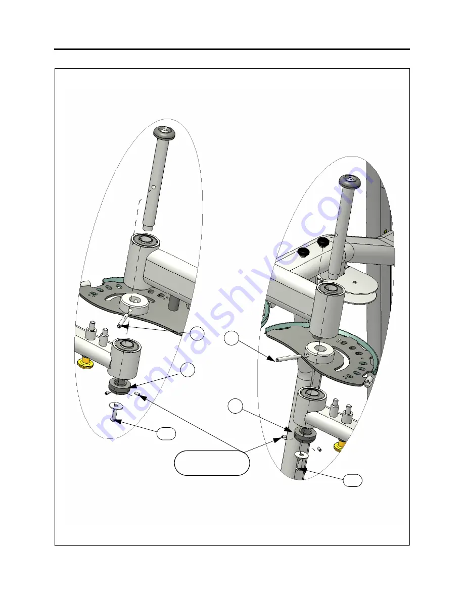 Paramount Fitness FS-55 Pec Fly/Rear Delt Скачать руководство пользователя страница 13