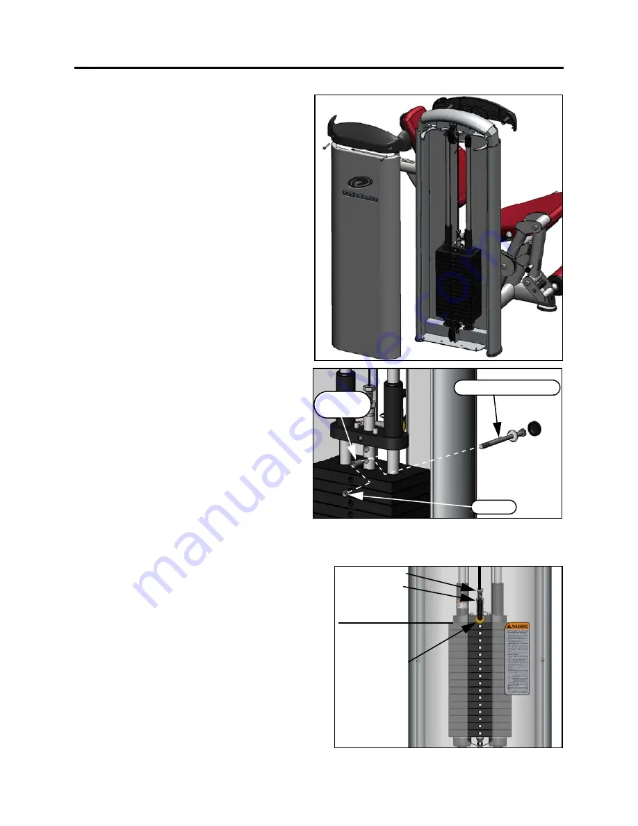 Paramount Fitness XL2 Series Скачать руководство пользователя страница 12