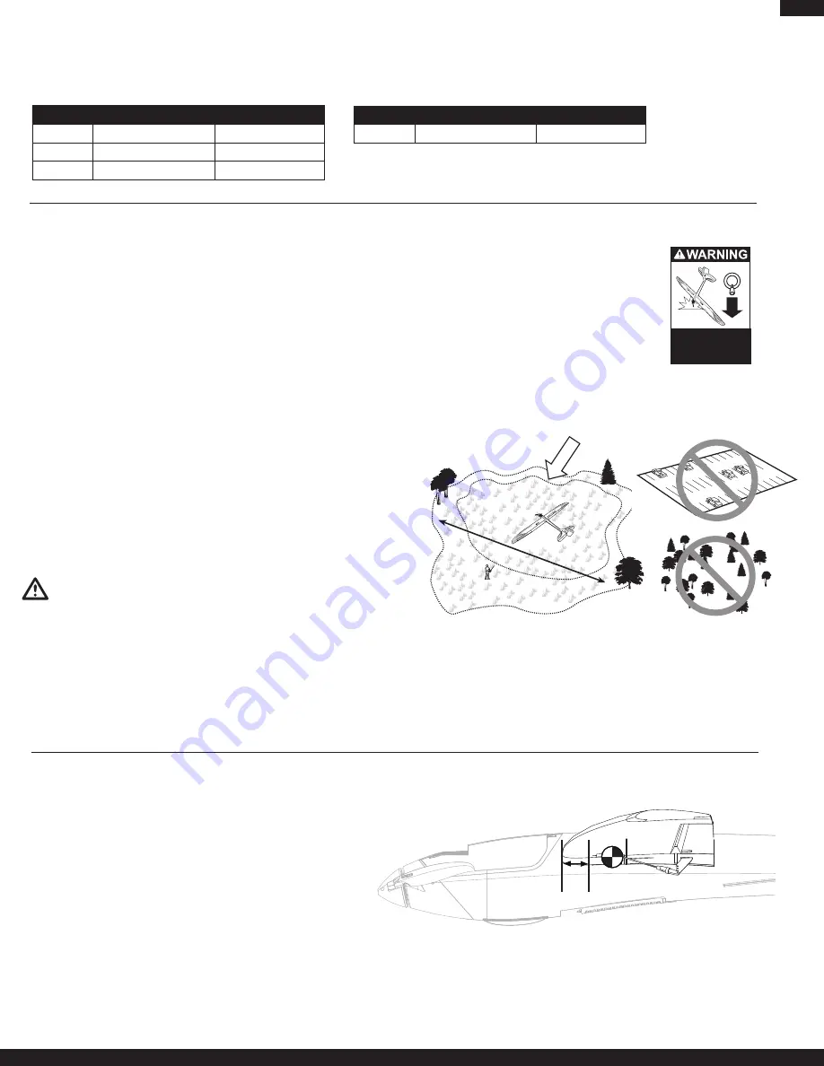 PARKZONE Radian Pro Instruction Manual Download Page 9