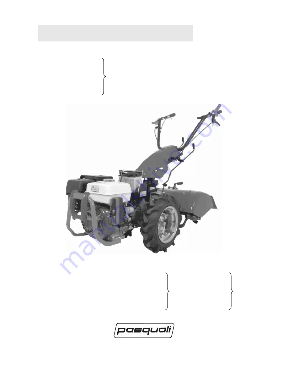 Pasquali SB 20 Скачать руководство пользователя страница 3