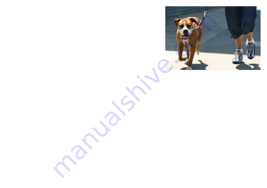 PatentoPet DOG-e-walk User Manual Download Page 7