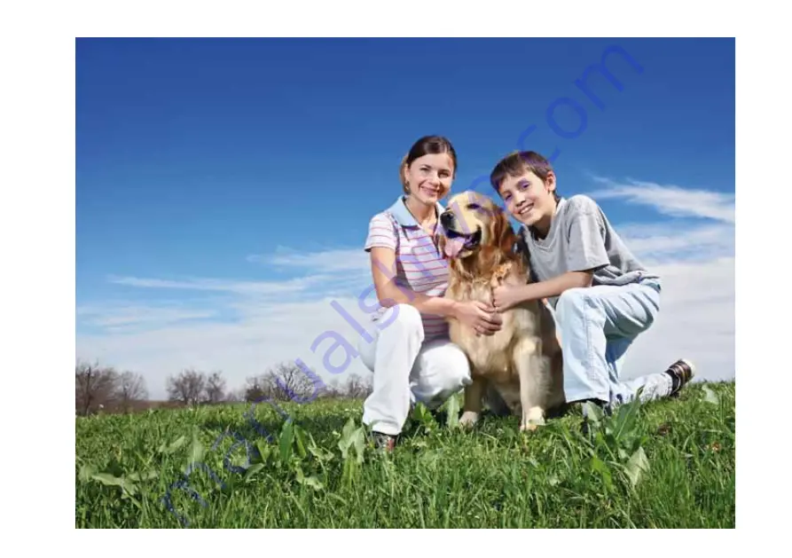 PatentoPet DOG-e-walk User Manual Download Page 13