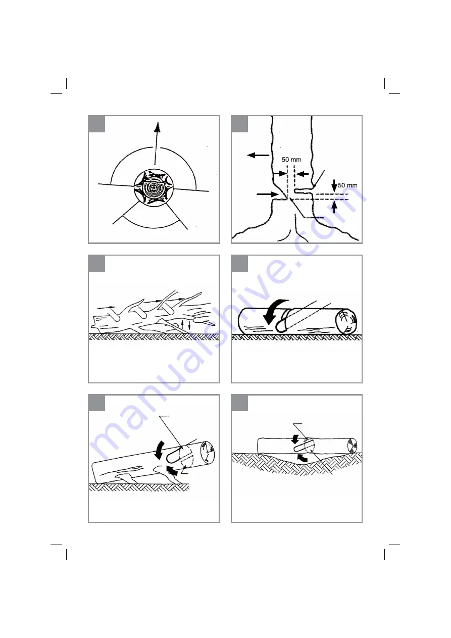 Pattfield Ergo Tools 5599904 Скачать руководство пользователя страница 5