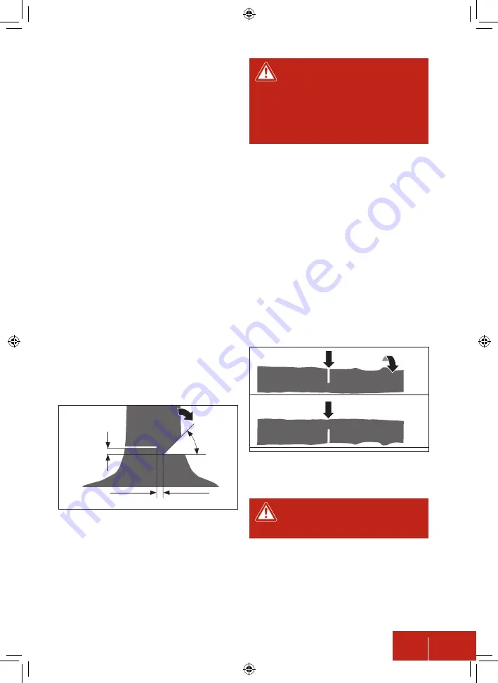 Pattfield PE-AKS 18 Li Basic Manual Download Page 81