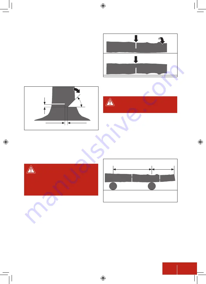 Pattfield PE-AKS 18 Li Basic Manual Download Page 191