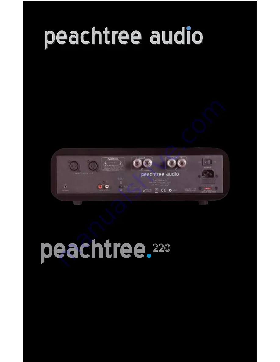 Peachtree Audio 220 Скачать руководство пользователя страница 12