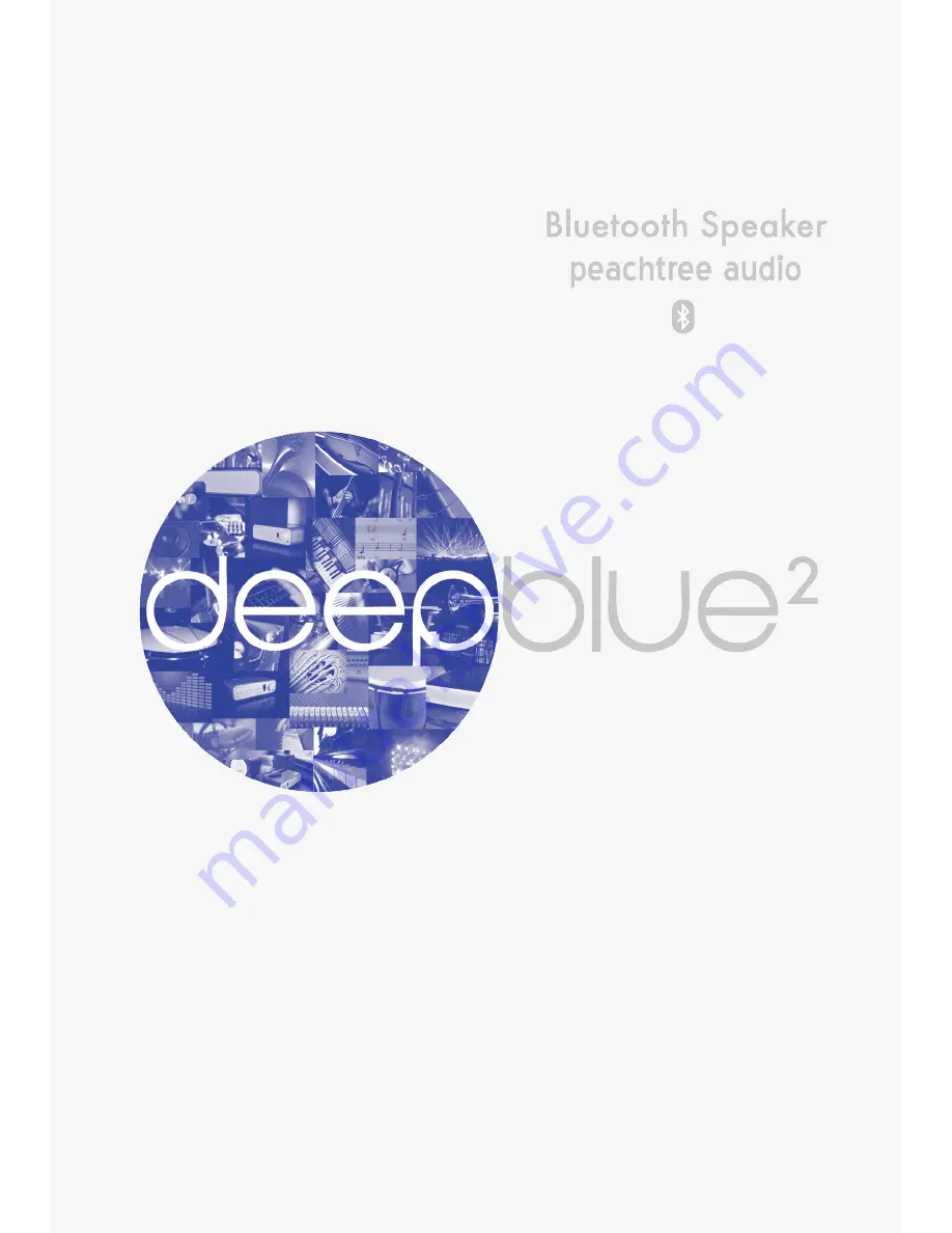 Peachtree Audio deepblue2 Owner'S Manual Download Page 12