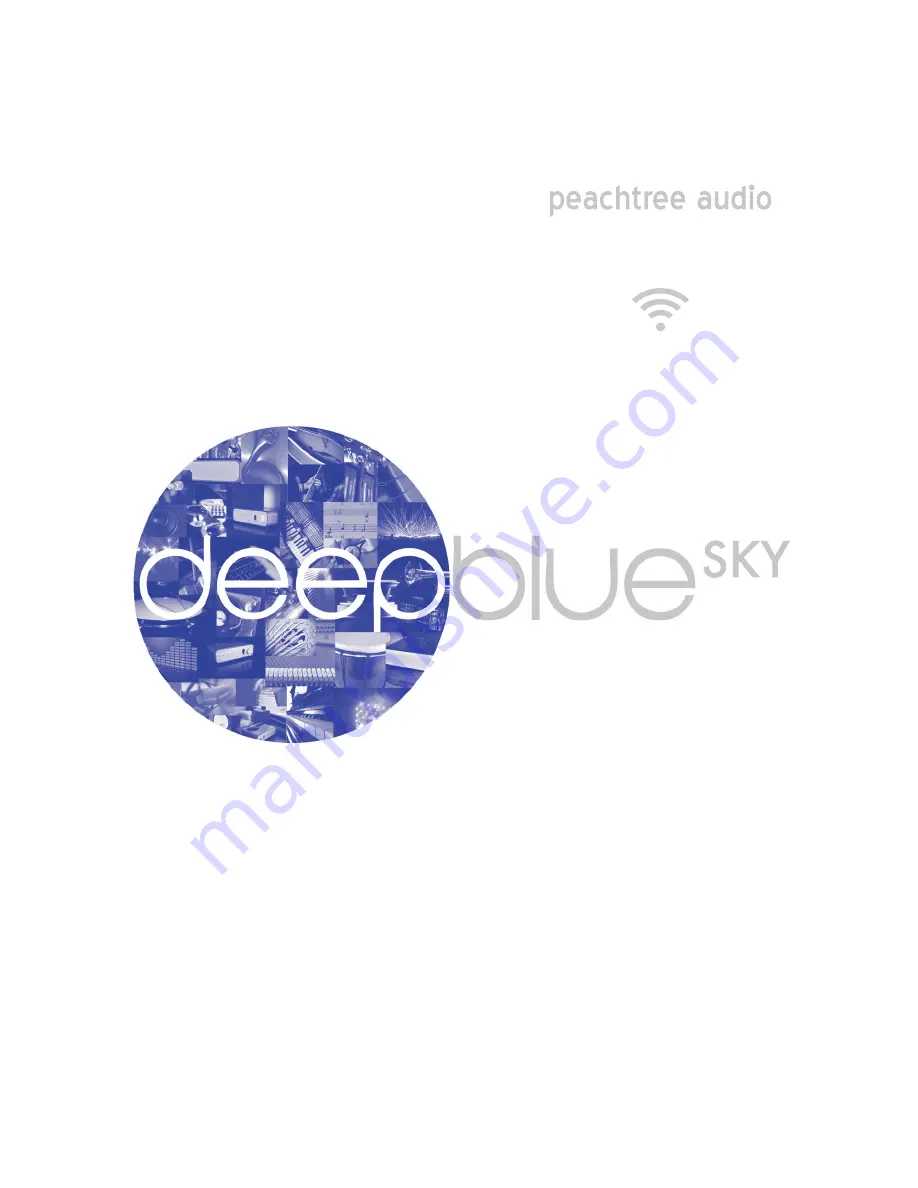 Peachtree Audio deepblueSKY Скачать руководство пользователя страница 1