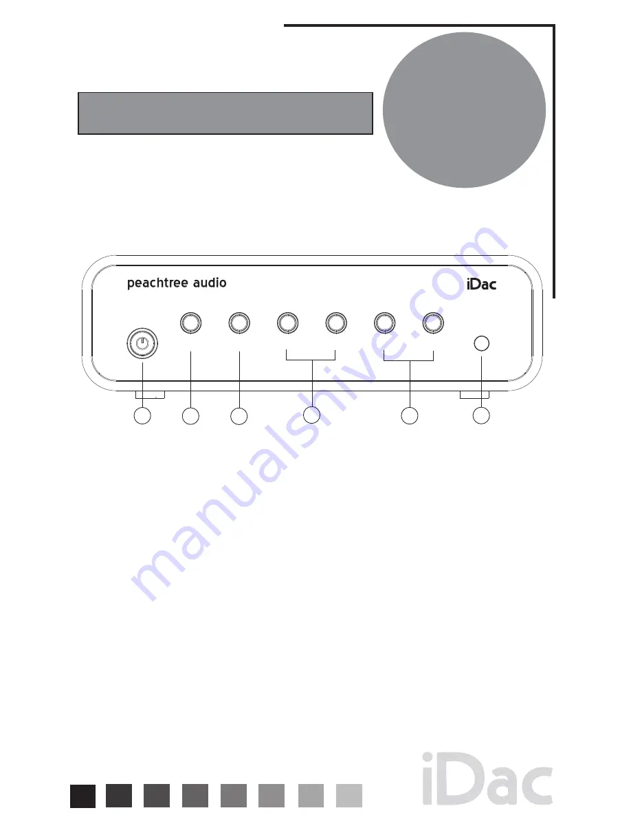 Peachtree Audio iDac Manual Download Page 5