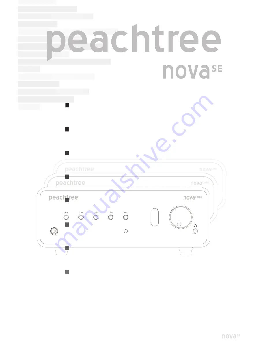 Peachtree Audio nova se Скачать руководство пользователя страница 38