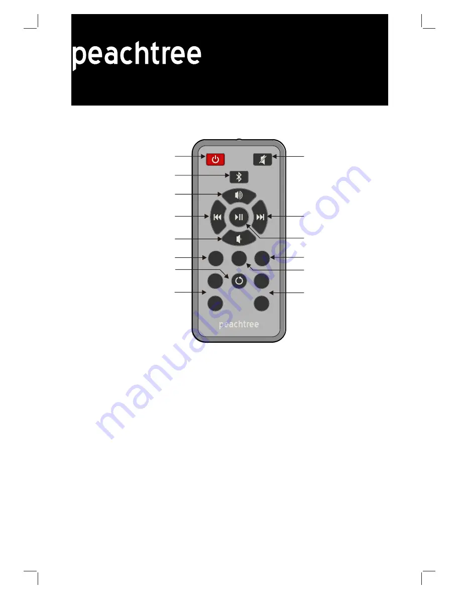 Peachtree M24 User Manual Download Page 6