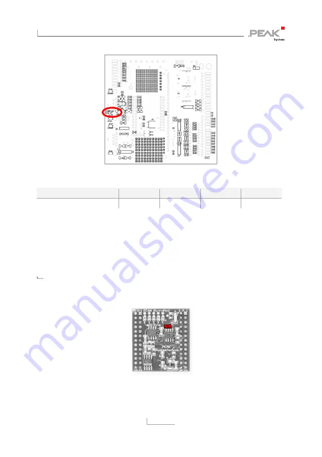 Peak PCAN-MicroMod User Manual Download Page 11