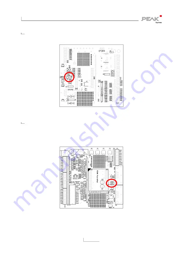 Peak PCAN-MicroMod User Manual Download Page 12