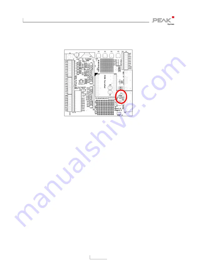 Peak PCAN-MicroMod User Manual Download Page 13