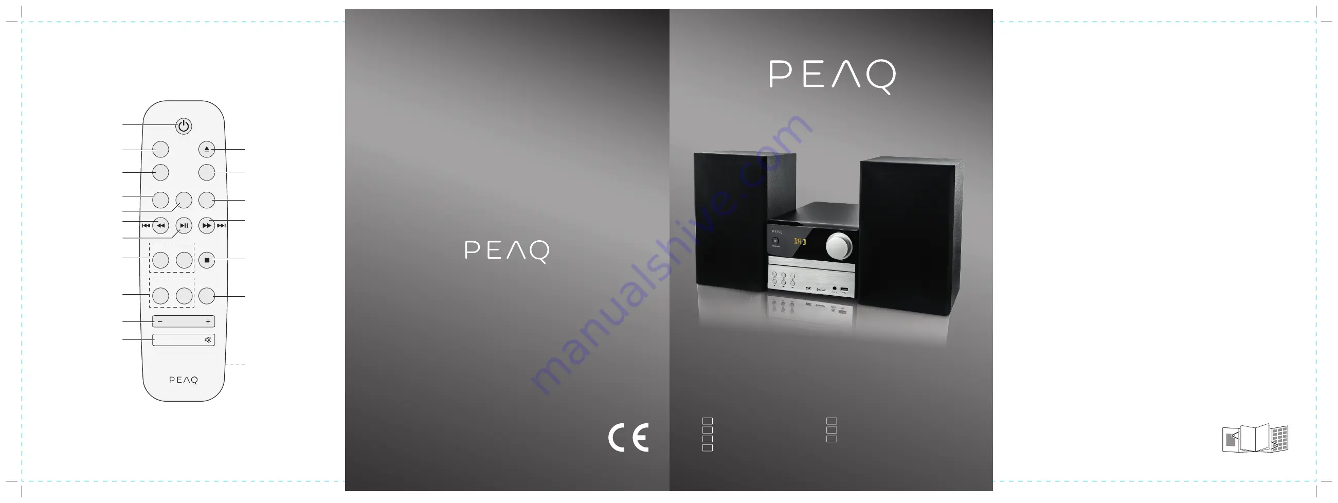 Peaq PMS310BT-SL Manual Download Page 1