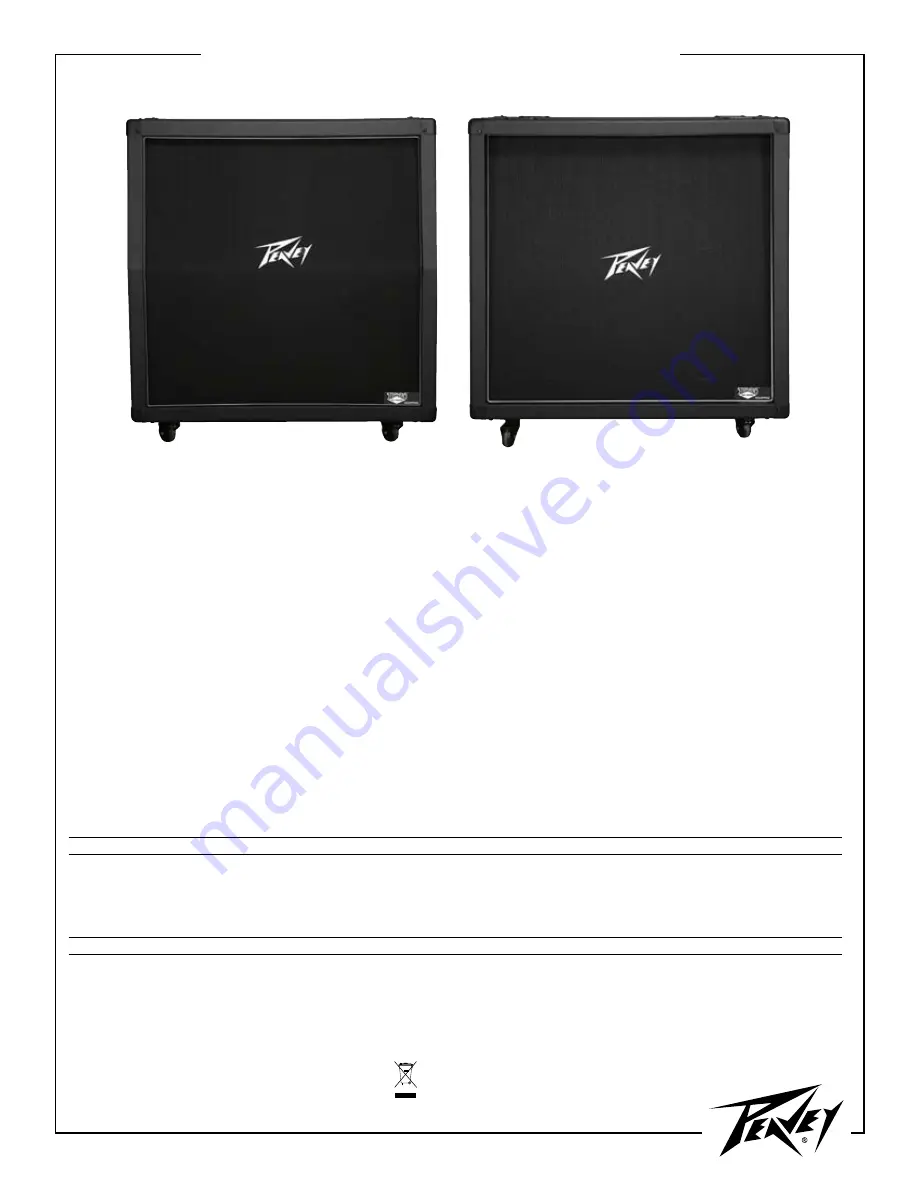 Peavey 430A Slant Скачать руководство пользователя страница 1