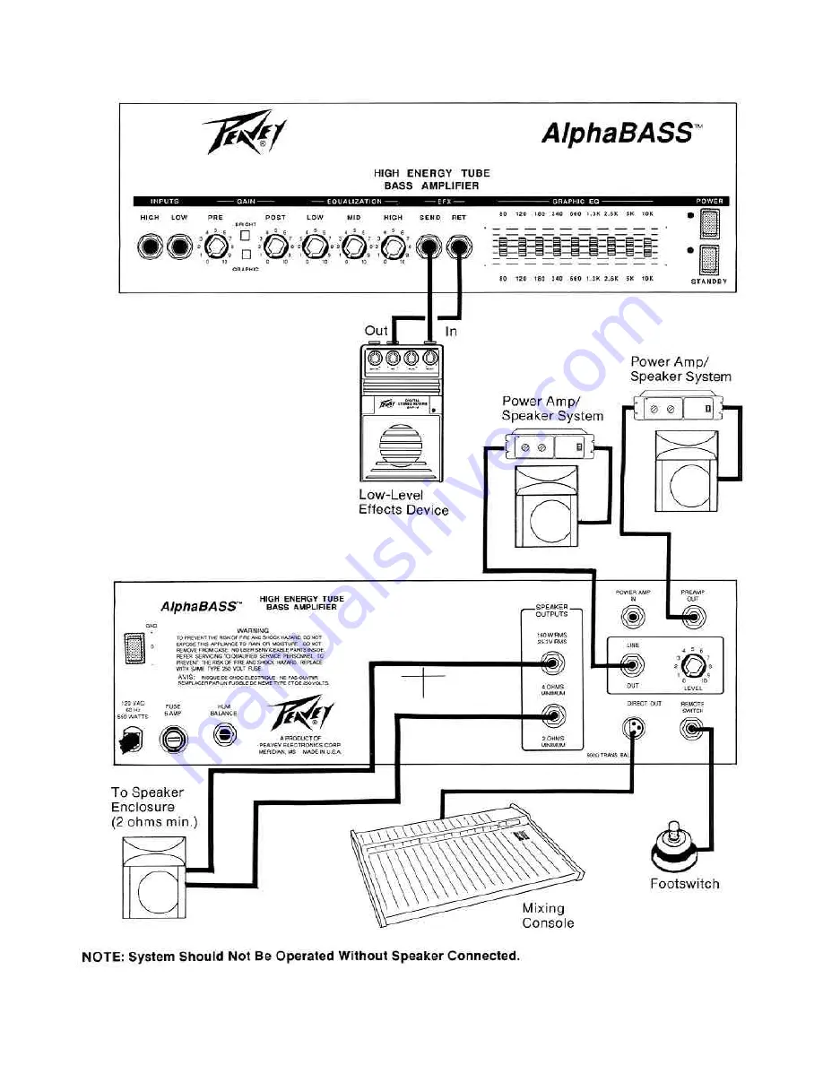 Peavey AlphaBass AlphaBass Скачать руководство пользователя страница 6