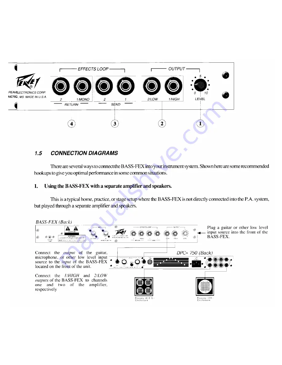 Peavey Bass Fex Скачать руководство пользователя страница 10