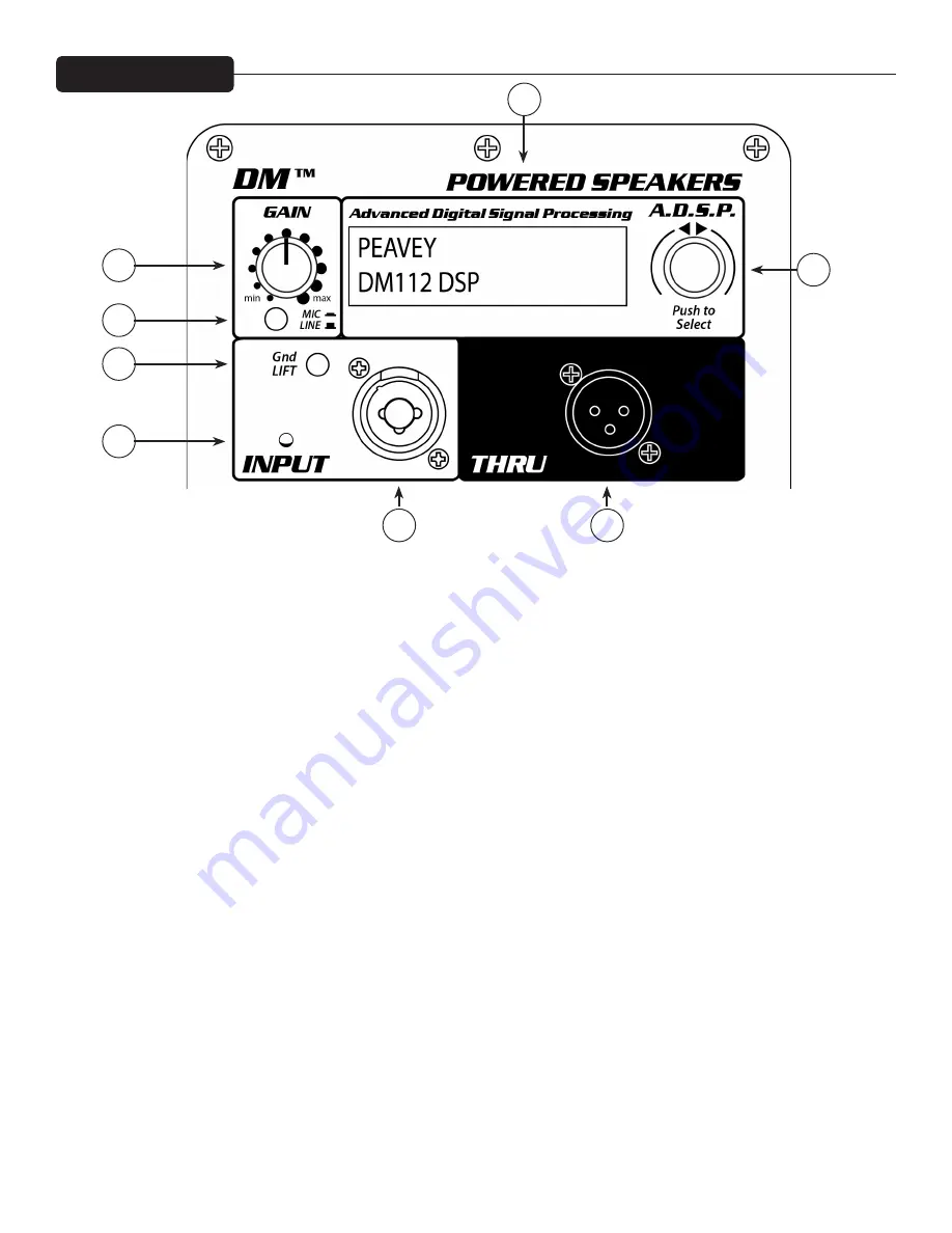 Peavey Dm 112 Скачать руководство пользователя страница 7