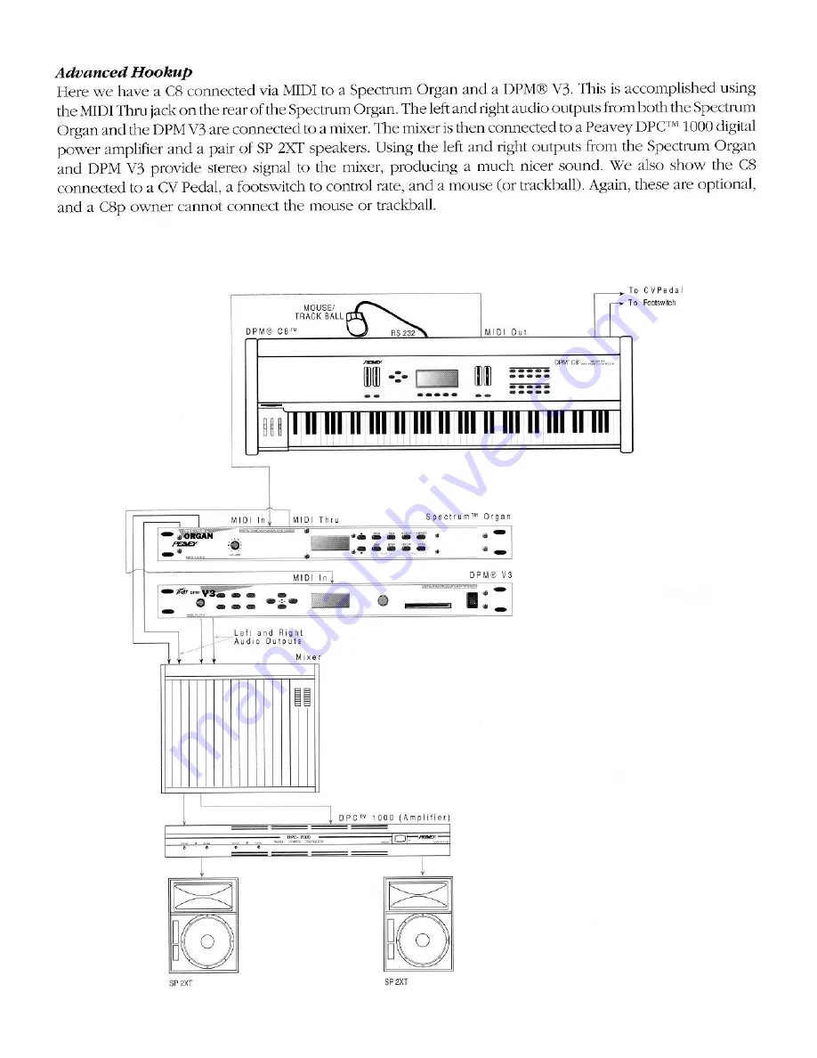 Peavey DPM C8 User Manual Download Page 14