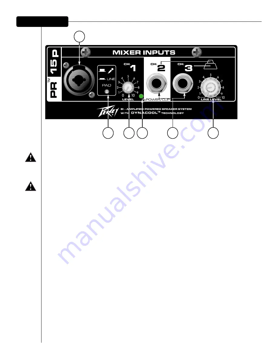 Peavey PR 15P Скачать руководство пользователя страница 6