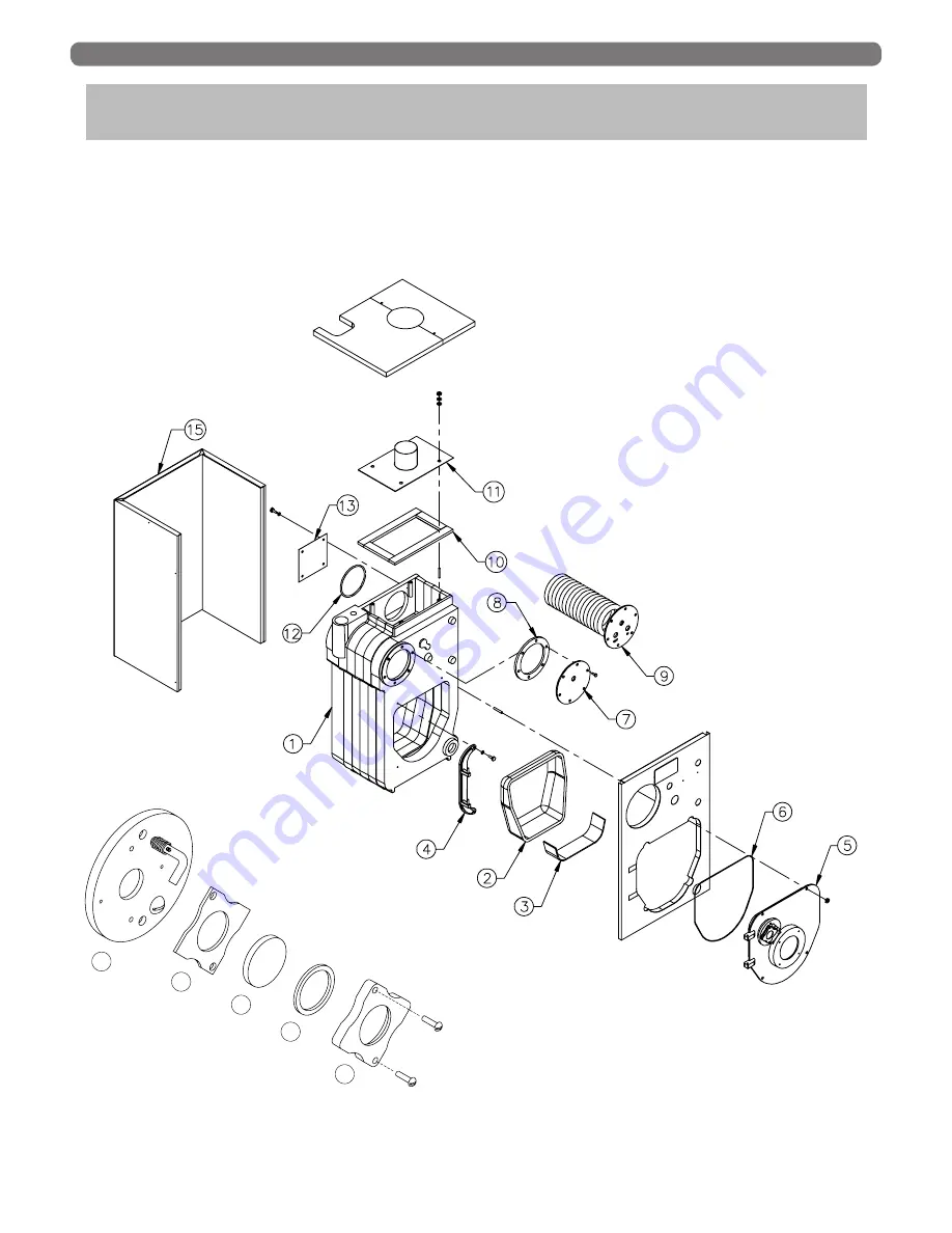 PeerlessBoilers WV-DV Series Скачать руководство пользователя страница 20