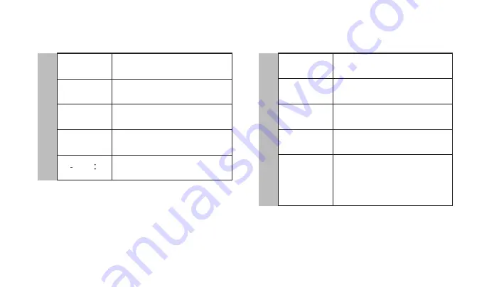 Pegasus PS1110WS User Manual Download Page 21