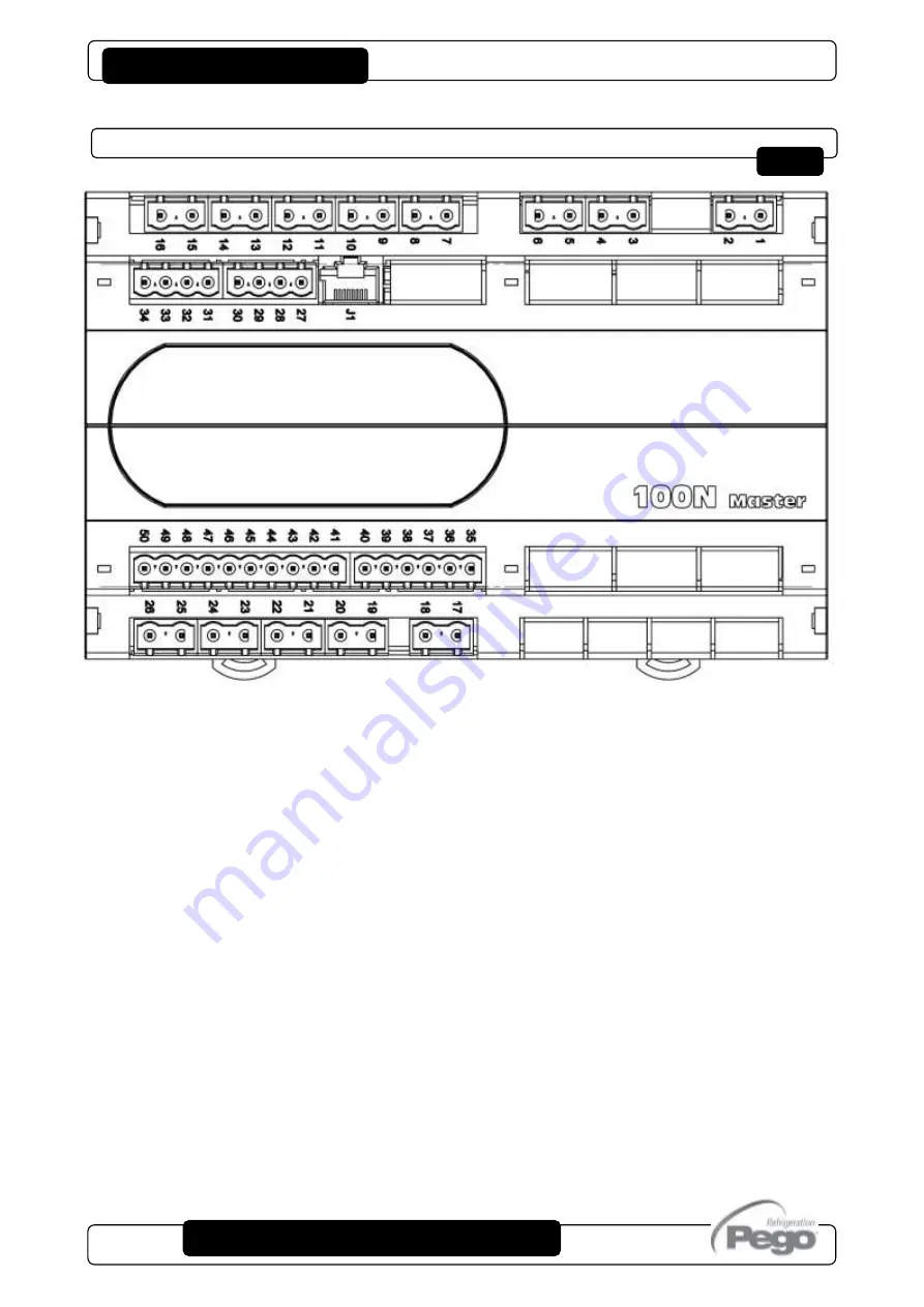 Pego 100N MASTER Use And Maintenance Manual Download Page 34