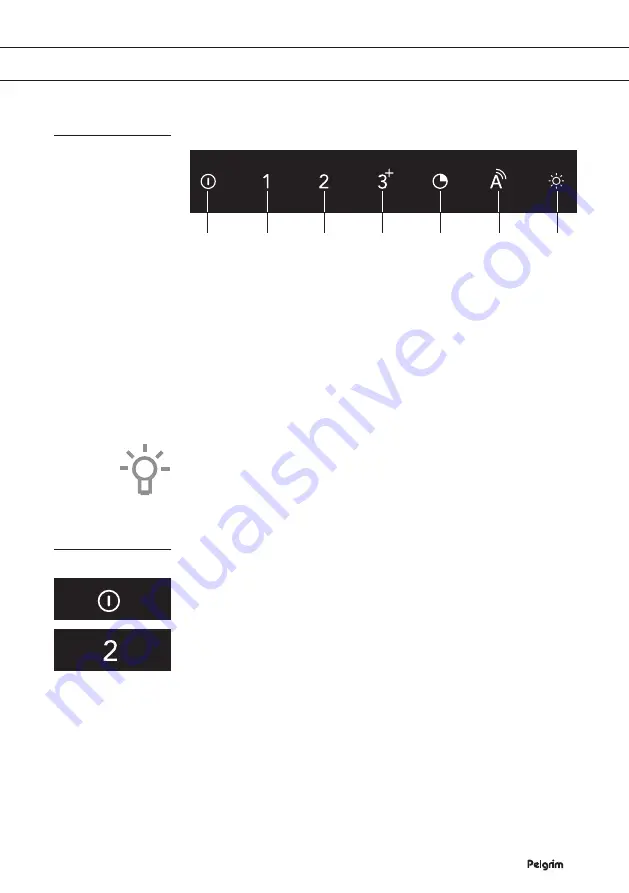 Pelgrim DSGA990 Series Instructions For Use Manual Download Page 21