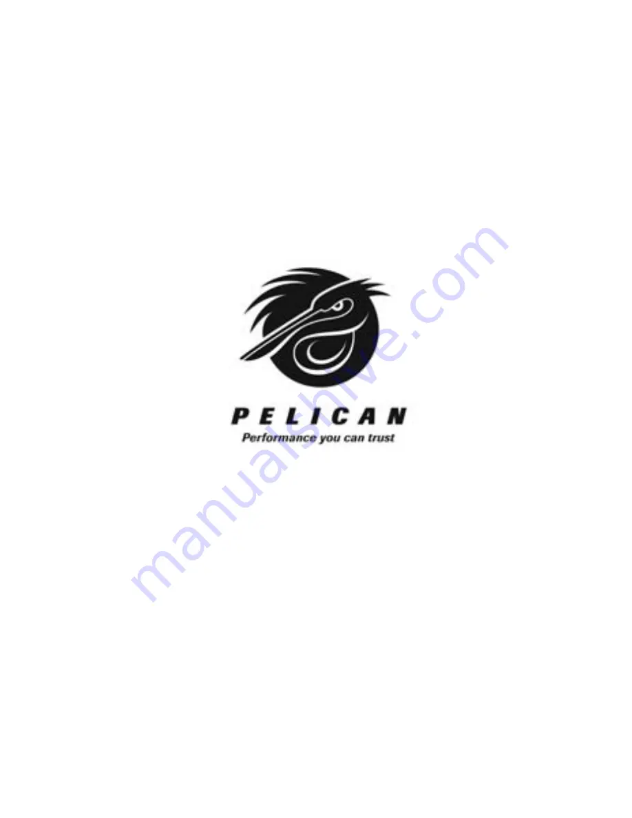 Pelican Blade 2.4 Street User Manual Download Page 13