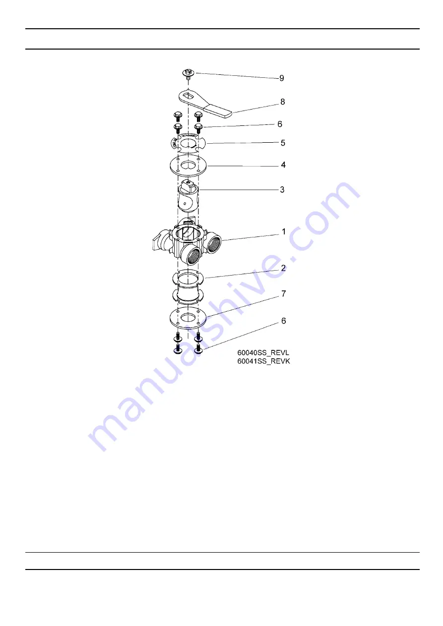 Pentair Pool Products Blaulain Recambios FLECK 4600 Service Manual Download Page 29