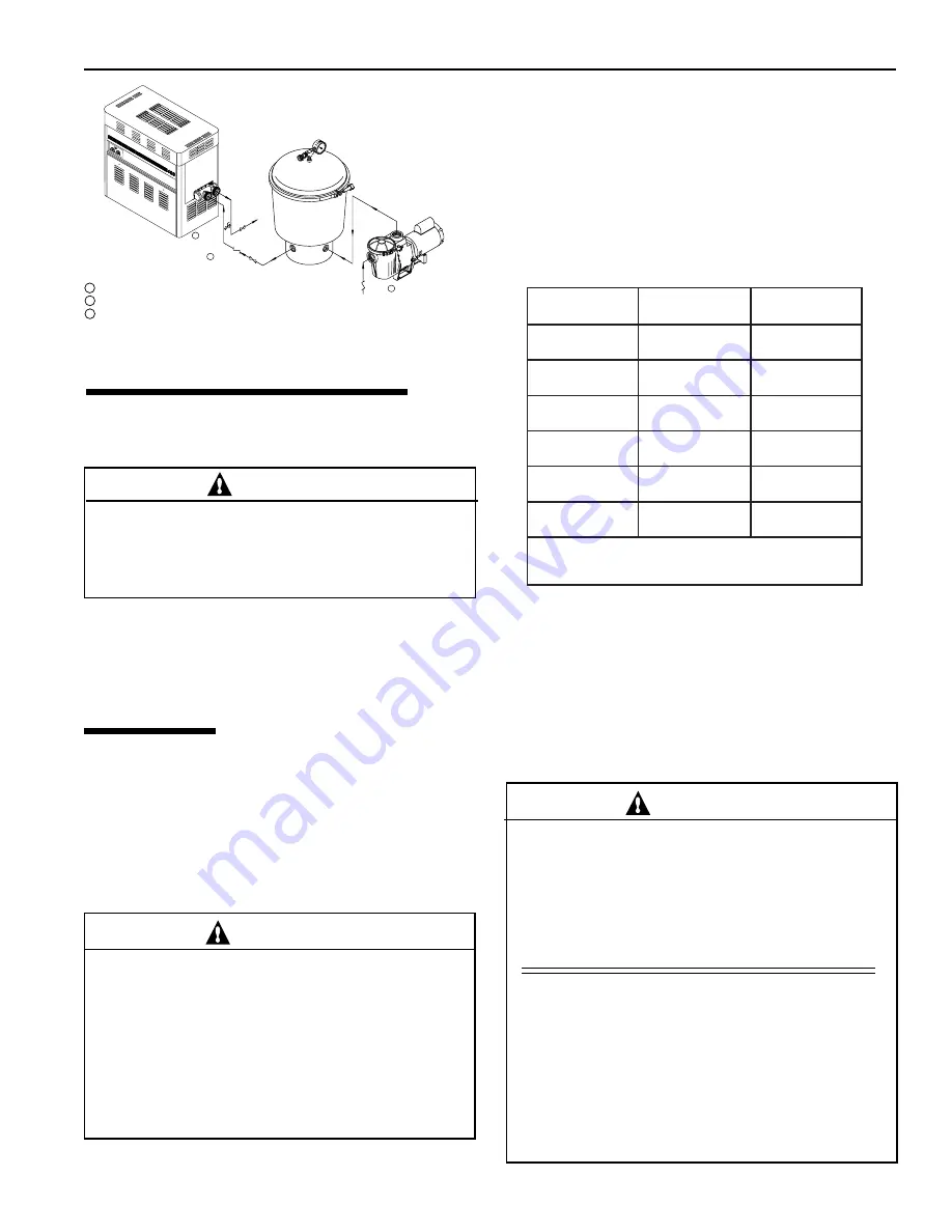 Pentair Pool Products MiniMax CH Operation & Installation Manual Download Page 13