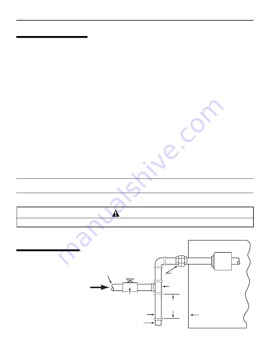 Pentair Pool Products MiniMax NT Series Operation & Installation Manual Download Page 10