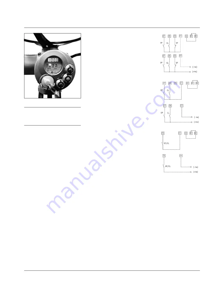 Pentair Biffi ICON 2000 Instructions And Operating Manual Download Page 14