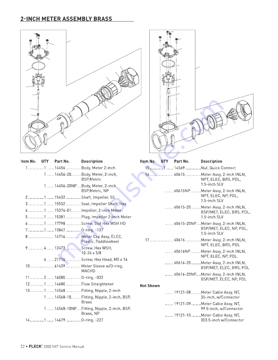 Pentair FLECK 3200 NXT Скачать руководство пользователя страница 22