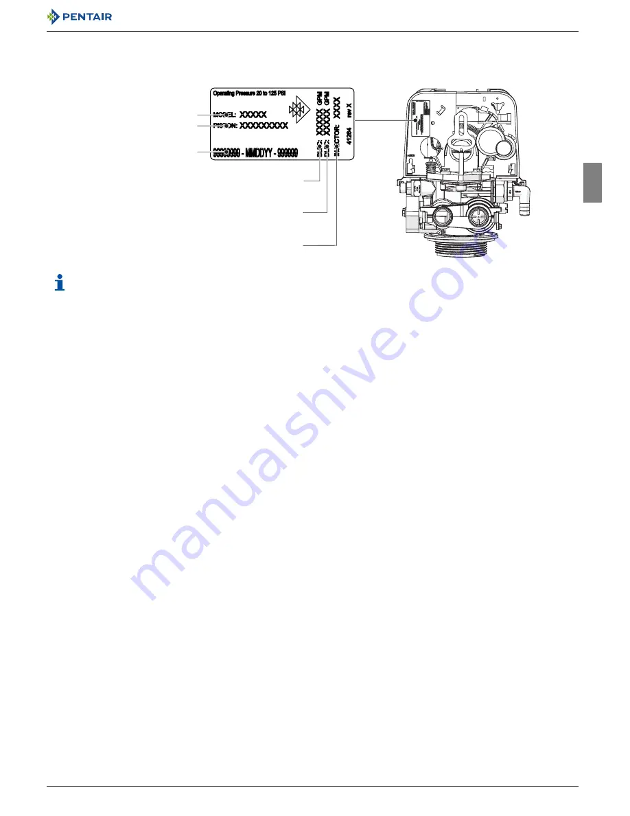 Pentair Fleck 5800 LXT User Manual Download Page 13