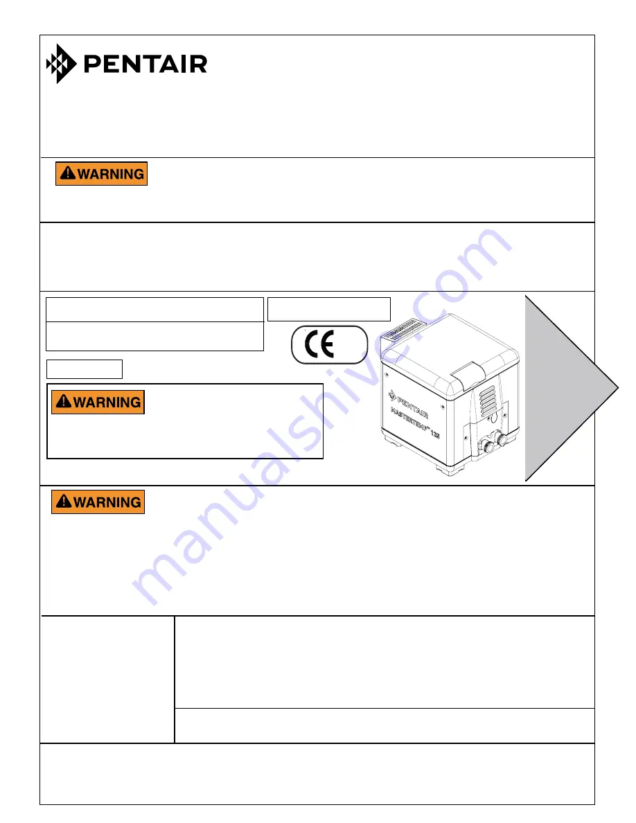 Pentair MASTERTEMP 125 Скачать руководство пользователя страница 1