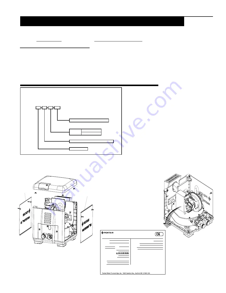 Pentair MASTERTEMP 125 Скачать руководство пользователя страница 3