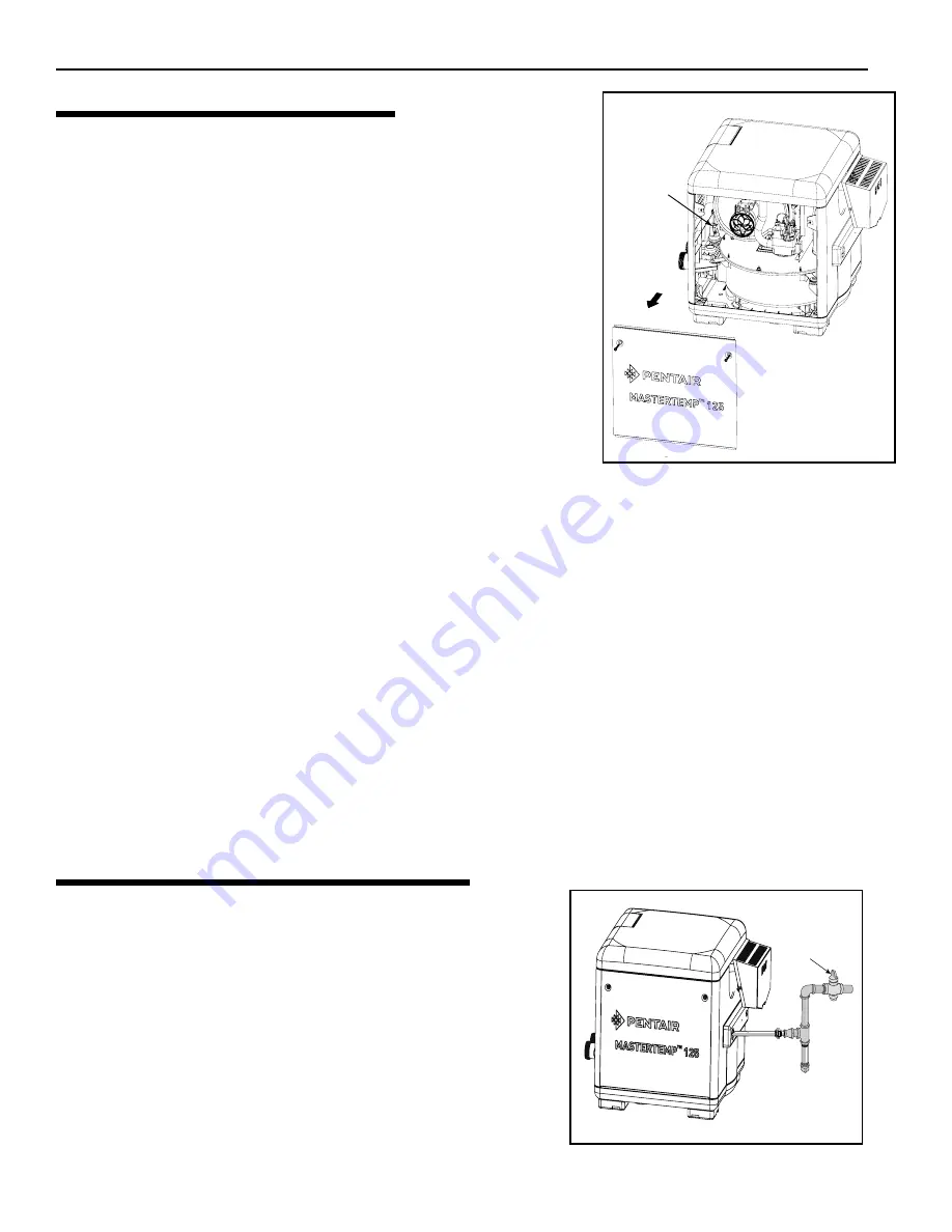 Pentair MASTERTEMP 125 Скачать руководство пользователя страница 35