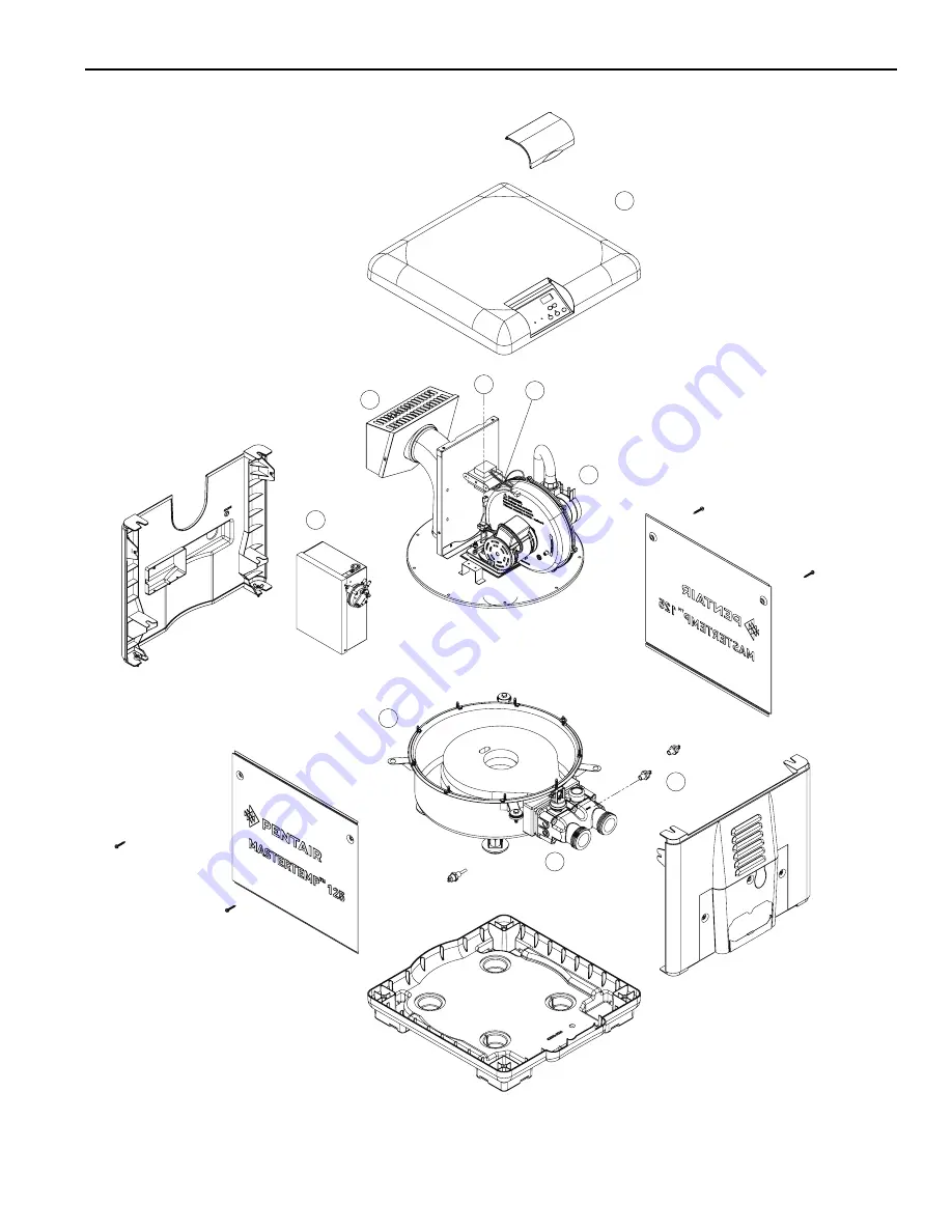 Pentair MASTERTEMP 125 Скачать руководство пользователя страница 52