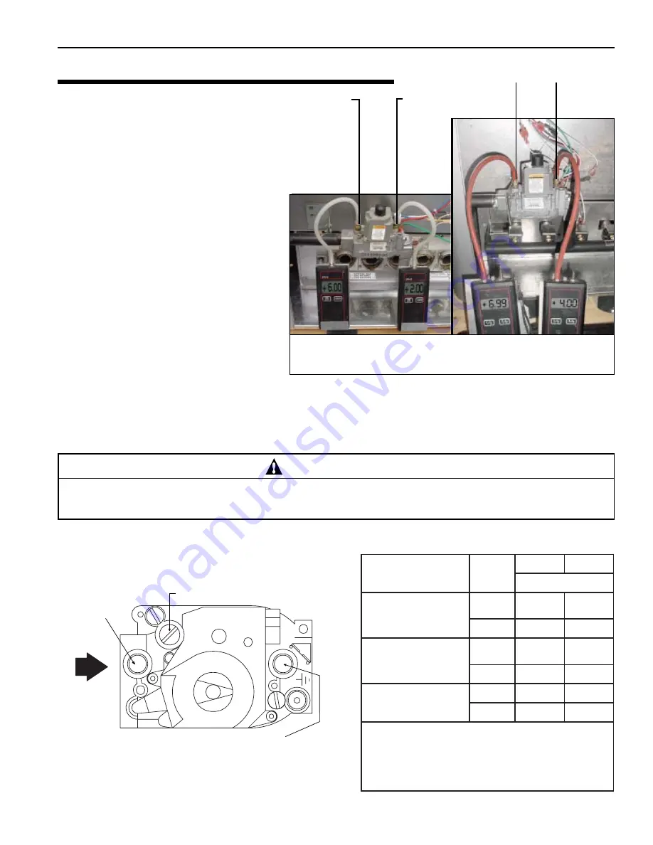 Pentair MiniMax NT 200 Скачать руководство пользователя страница 53