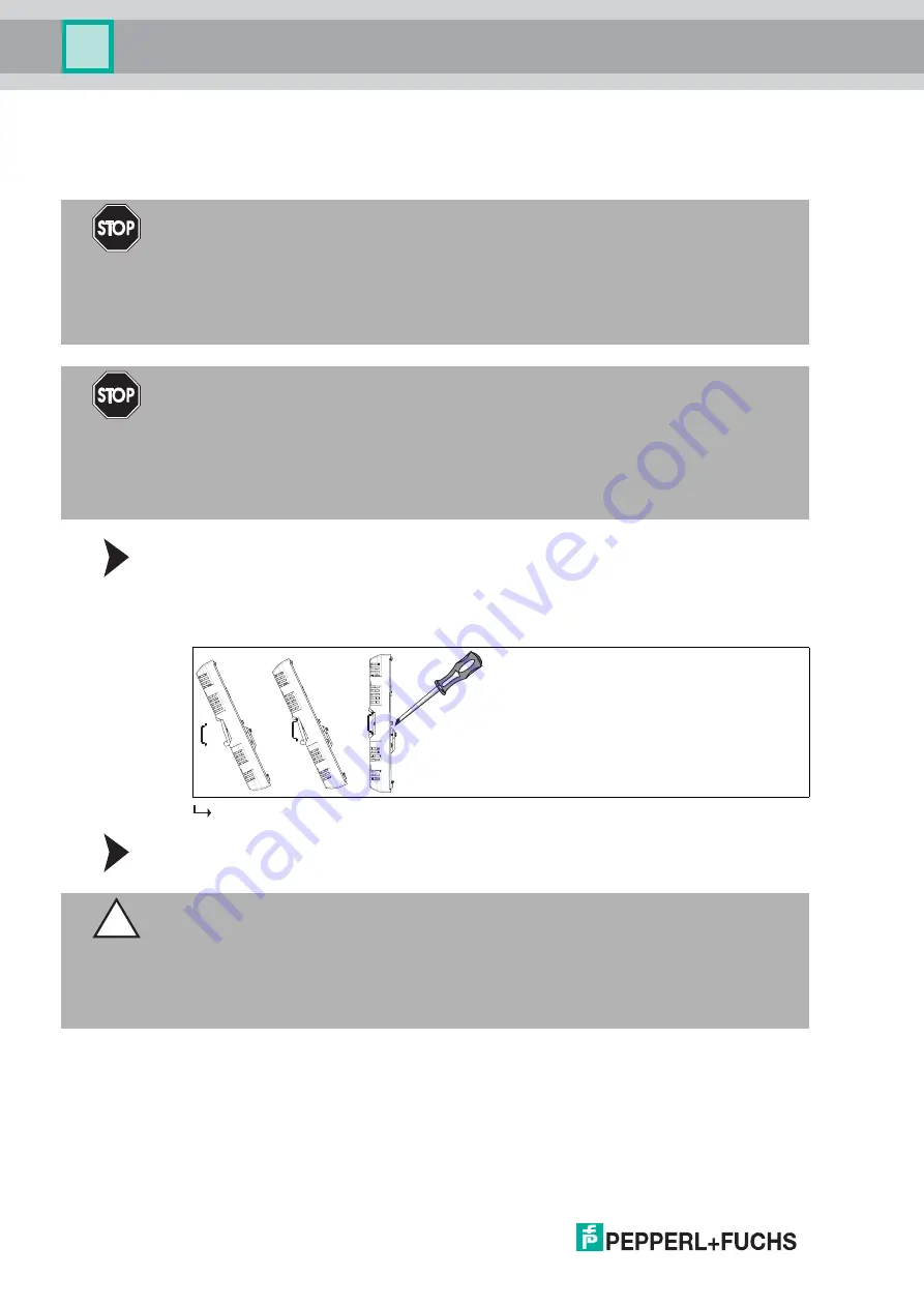 Pepperl+Fuchs HCD2-FBPS Series Manual Download Page 14