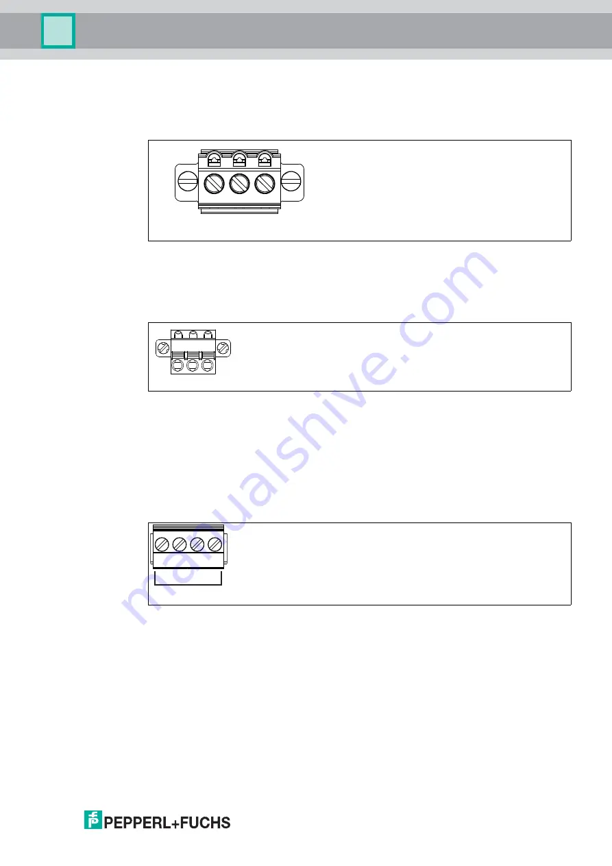 Pepperl+Fuchs HCD2-FBPS Series Manual Download Page 19