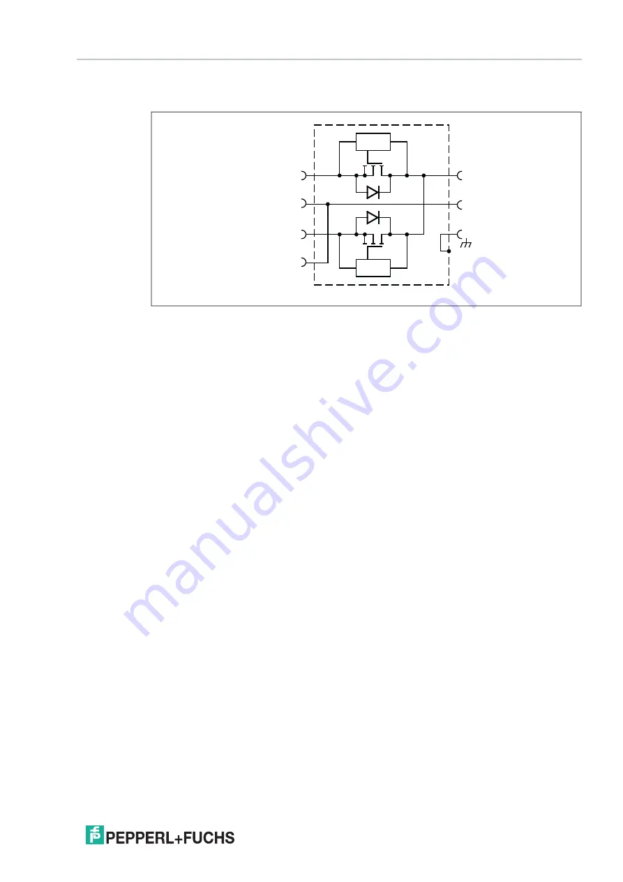 Pepperl+Fuchs PS1000-D2-24.40.RM Скачать руководство пользователя страница 15