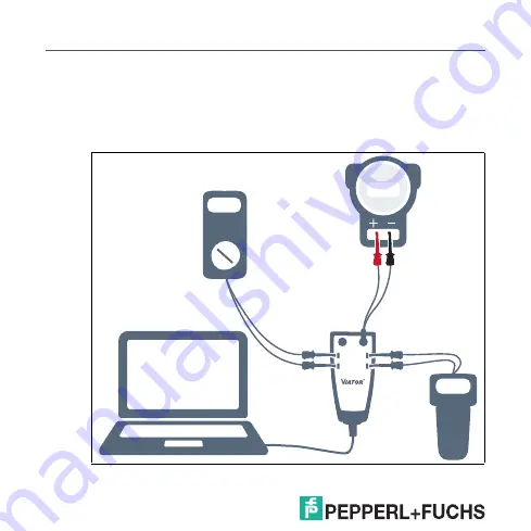 Pepperl+Fuchs Viator PowerXpress HM-PF-USB-PWRX-010031P Manual Download Page 14